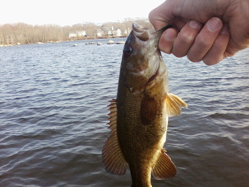 smallmouth