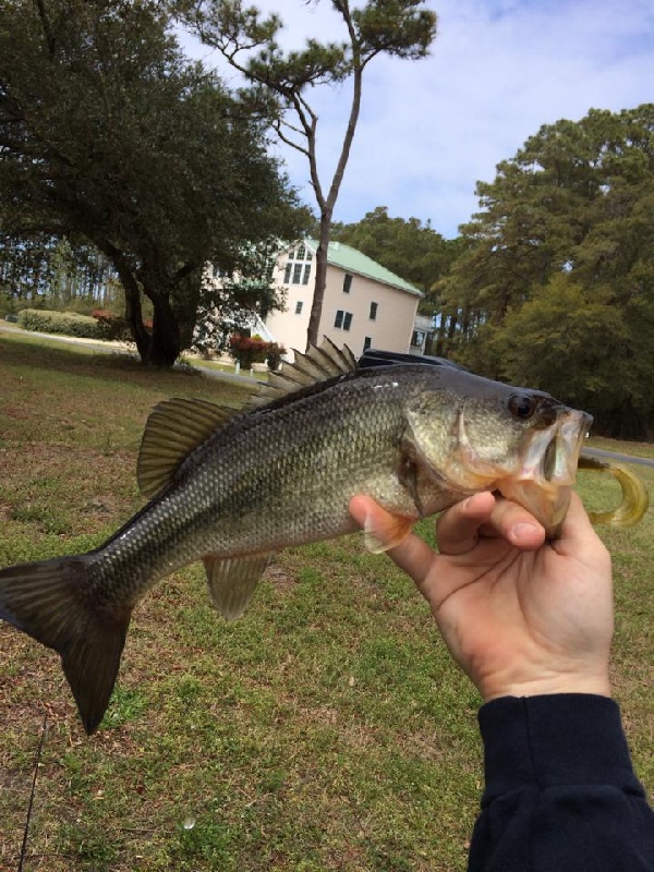 Duck fishing photo 0