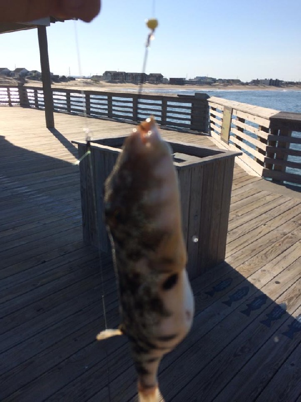 Kill Devil Hills fishing photo 0