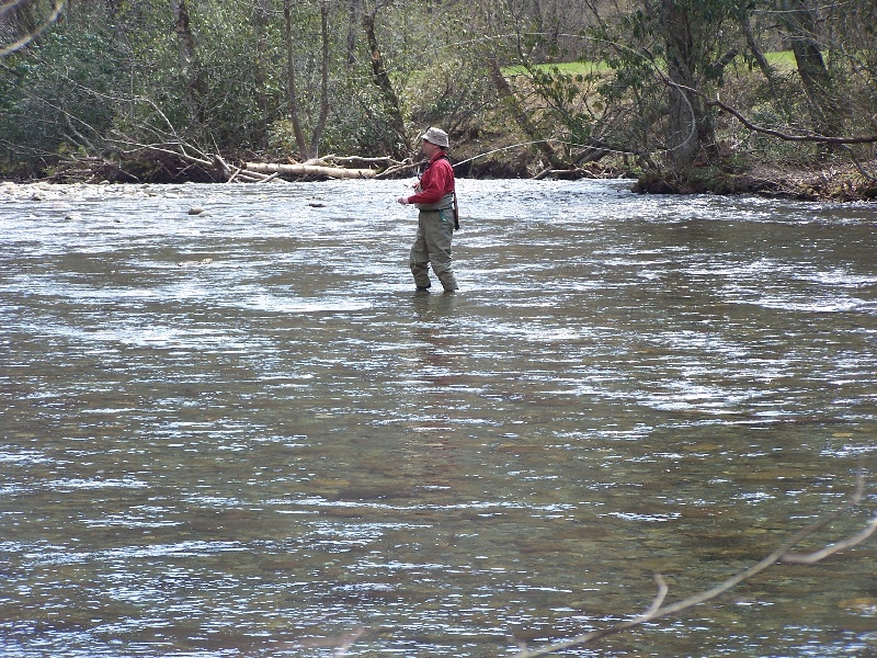 Oconaluftee River, GSMNP near Clyde