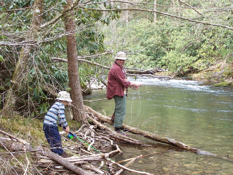 Deep Creek, GSMNP near Maggie Valley