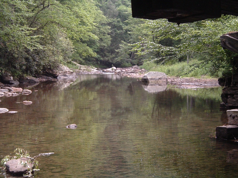 West Jefferson fishing photo 2