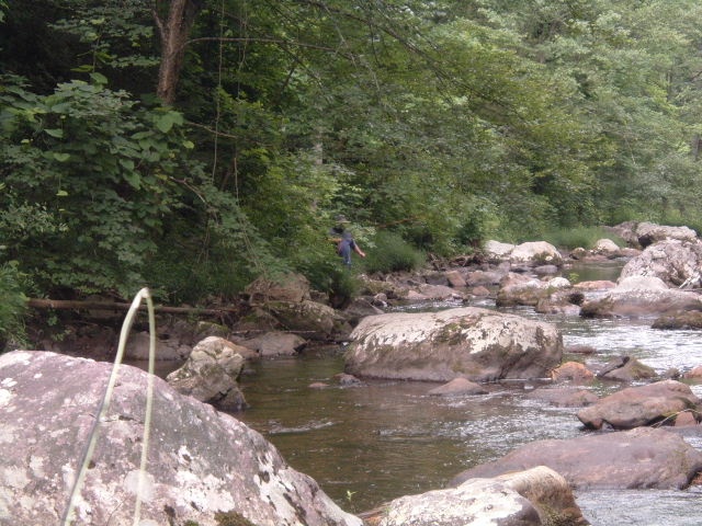 Lansing fishing photo 1