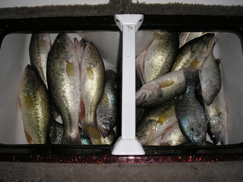 Middleburg fishing photo 4