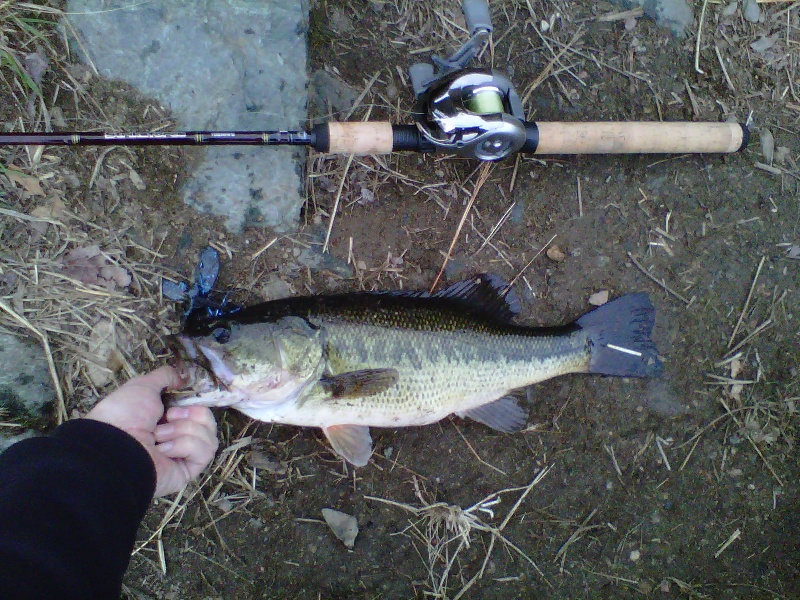 4/12/11 - Lake Cochituate