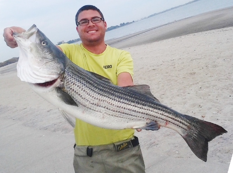 39" 20 pound 13 ounce striper Fall 2015