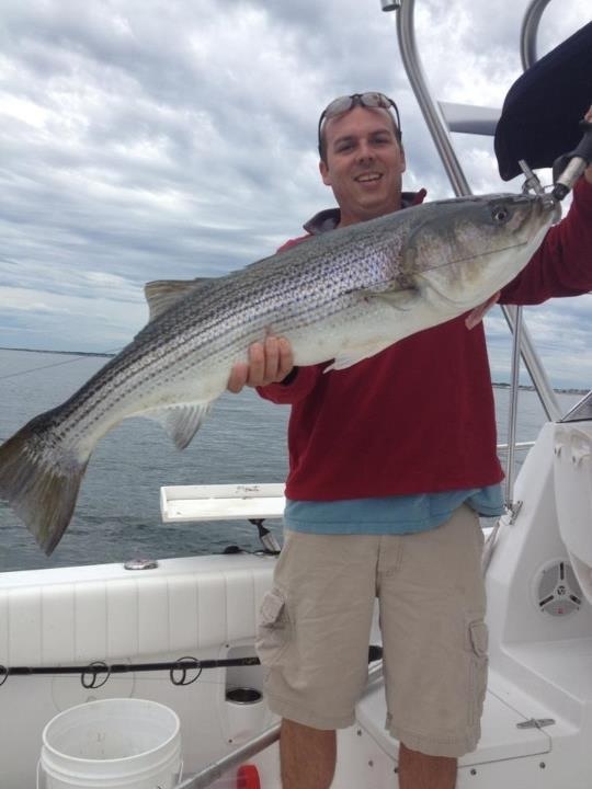 Nice Striper 2012