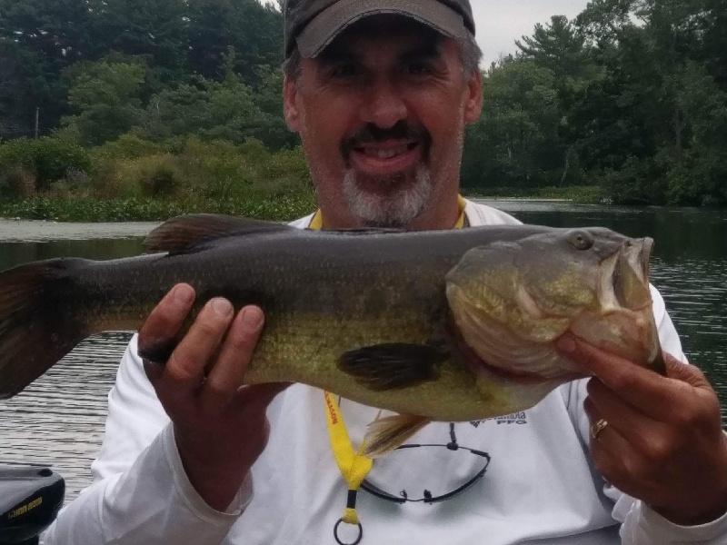 Midday Largemouth