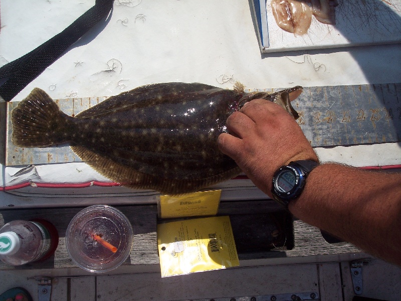 Fishing the block on Aug. 15, 2009