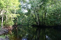 Little Pee Dee River